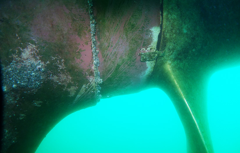 Bio fouling survey on vessel