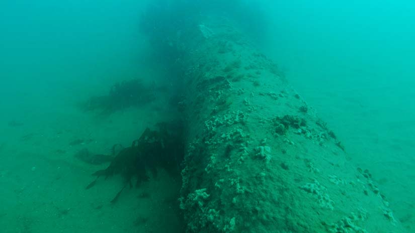 Outfall pipe from above and marine life