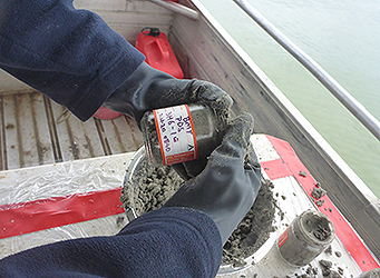 Scientist holding sand sample